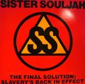 SISTER SOULJAH / THE FINAL SOLUTION; SLAVERY'S BACK IN EFFECT