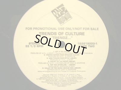 画像2: TRENDS OF CULTURE / TRENDZ… (US PROMO-LP)   (¥1000)