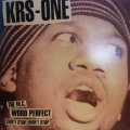 KRS-ONE / CAN’T STOP, WON’T STOP