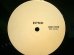 画像3: EPMD / CROSSOVER (Test Pressing Remix)  (3)