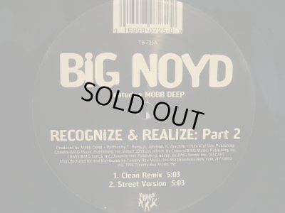 画像1: BIG NOYD / RECOGNIZE & REALIZE: PART2