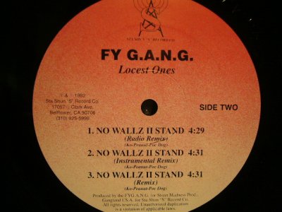 画像2: FY G.A.N.G. / N HOOD NIGGAZ