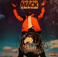 CRAIG MACK / FLAVA IN YA EAR 