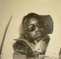 KOOL G RAP / FAST LIFE / IT’S A SHAME (REMIXES)