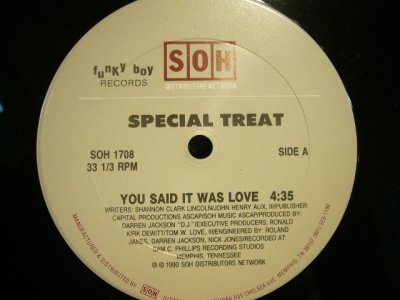 画像1: SPECIAL TREAT / YOU SAID IT WAS LOVE