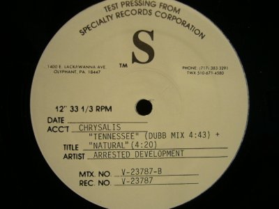 画像2: ARRESTED DEVELOPMENT / TENNESSEE (TESTPRESS)