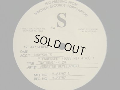 画像2: ARRESTED DEVELOPMENT / TENNESSEE (TESTPRESS)