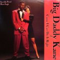 BIG DADDY KANE / CAUSE I CAN DO IT RIGHT