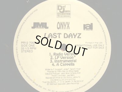 画像1: ONYX / LAST DAYZ  (US-PROMO)