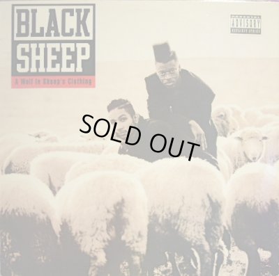 画像1: BLACK SHEEP / A WOLF IN SHEEP’S CLOTHING  (US-LP)