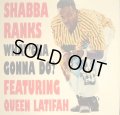 SHABBA RANKS / WHAT'CHA GONNA DO? (FEATURRING QUEEN LATIFAH) 