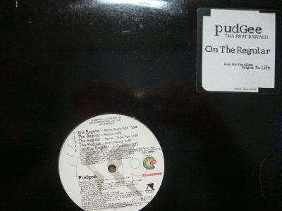 画像1: PUDGEE / ON THE REGULAR  (¥500)