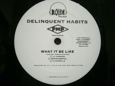 画像1: DELINQUENT HABITS ‎/ WHAT IT BE LIKE  (US-PROMO)