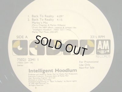 画像1: INTELLIGENT HOODLUM / BACK TO REALITY  (¥1000)