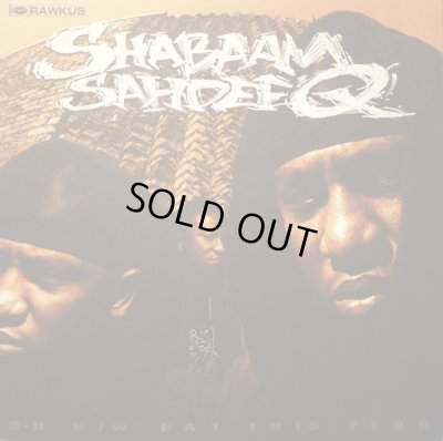 画像1: SHABAAM SAHDEEQ / 3-D