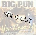 BIG PUNISHER / YOU CAME UP  (¥500)