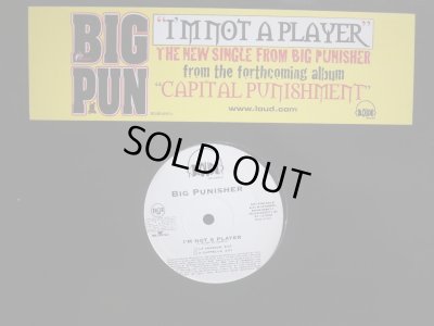 画像1: BIG PUNISHER ‎/ I'M NOT A PLAYER (US-PROMO)