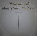 DRAGON ASH / FREE YOUR MIND #33
