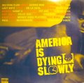 V.A. ‎/ AMERICA IS DYING SLOWLY (US-2LP) (¥1000)