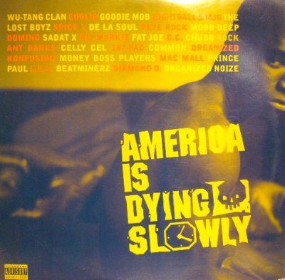 画像1: V.A. ‎/ AMERICA IS DYING SLOWLY (US-2LP) (¥1000)