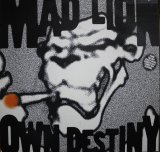 MAD LION / OWN DESTINY