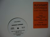 BUCKSHOT LEFONQUE / SOME COW FONQUE