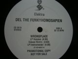 DEL THE FUNKYHOMOSAPIEN / WRONGPLACE