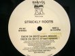 画像1: STRICKLY ROOTS / DUCK DA BOYZ (1)