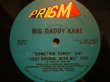 画像2: BIG DADDY KANE / GET INTO IT (2)