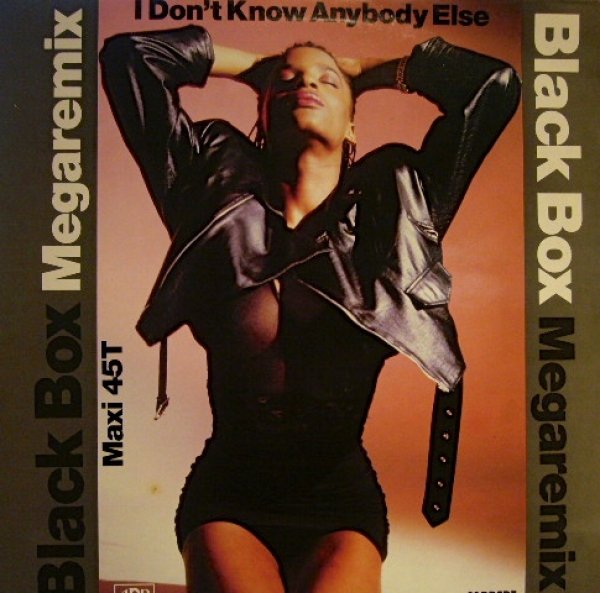 画像1: BLACK BOX / I DON’T KNOW ANYBODY ELSE (MEGAREMIX) (1)