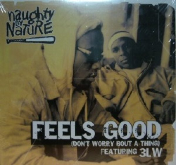 画像1: NAUGHTY BY NATURE FEAT.3LW / FEELS GOOD  (¥500) (1)