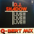 画像1: D.J. SHADOW / Q-BERT MIX-LIVE!! (1)