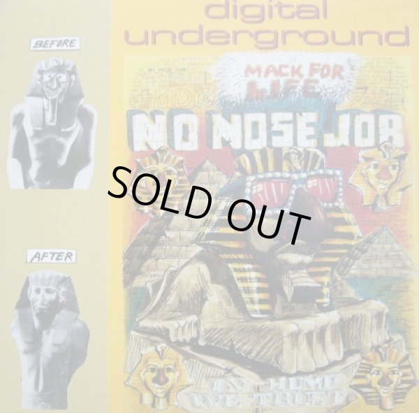 画像1: DIGITAL UNDERGROUND / NO NOSE JOB  (¥1000) (1)