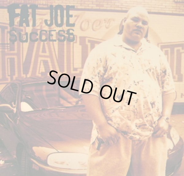 画像1: FAT JOE / SUCCESS  (¥500) (1)