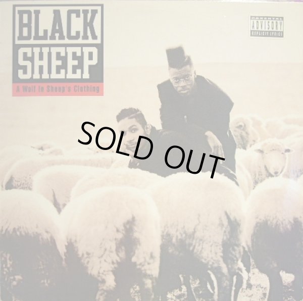 画像1: BLACK SHEEP / A WOLF IN SHEEP’S CLOTHING  (US-LP) (1)