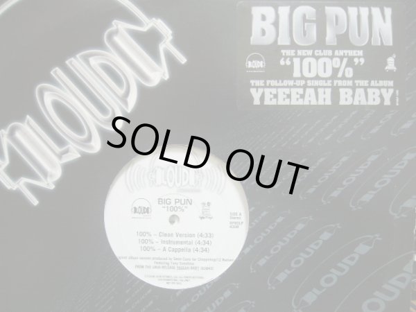 画像1: BIG PUN / 100%  (US-PROMO)  (¥500) (1)