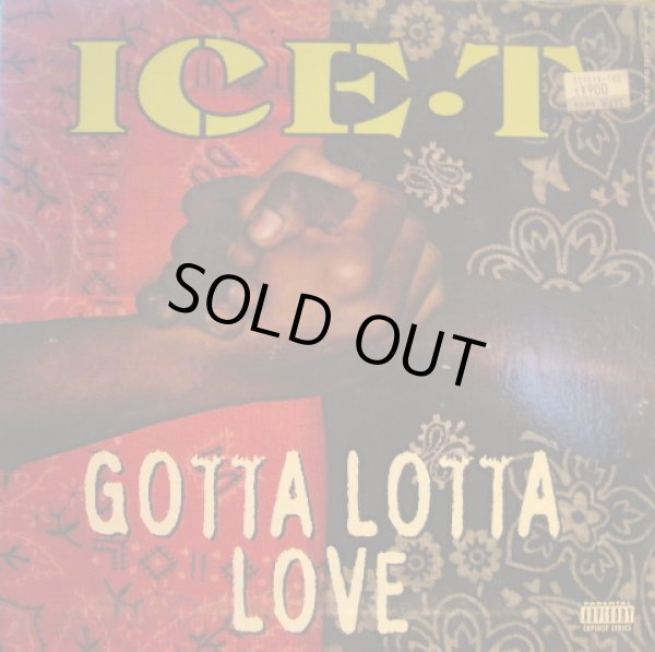 画像1: ICE-T / GOTTA LOTTA LOVE  (¥500) (1)