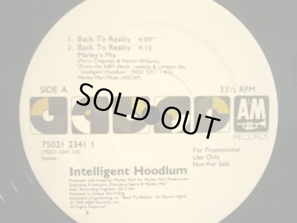 画像1: INTELLIGENT HOODLUM / BACK TO REALITY  (¥1000) (1)