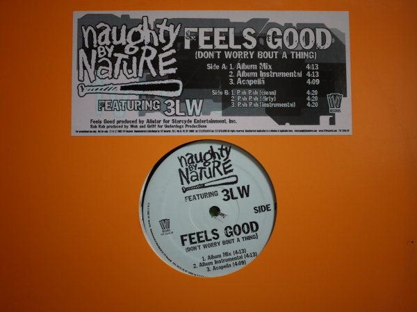 画像1: NAUGHTY BY NATURE / FEELS GOOD (DON'T WORRY BOUT A THING) (1)