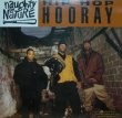 画像1: NAUGHTY BY NATURE / HIP HOP HOORAY  (1)