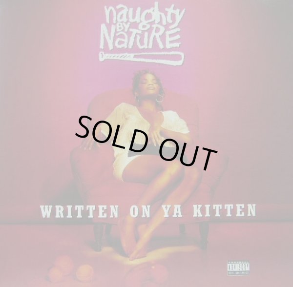 画像1: NAUGHTY BY NATURE / WRITTEN ON YA KITTEN  (1)