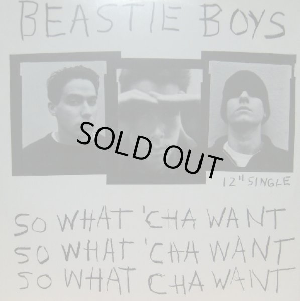 画像1: BEASTIE BOYS / SO WHAT'CHA WANT  (1)