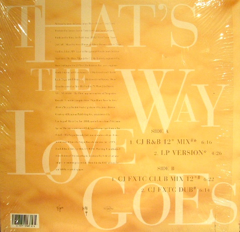 JANET JACKSON / THAT'S THE WAY LOVE GOES (US) - SOURCE RECORDS 